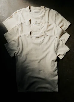 Women Imogene + Willie T-Shirts|Tees & Tanks*classic knit midweight crew