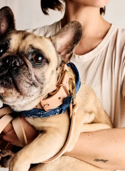 Women Imogene + Willie Accessories|Accessories*emil erwin x i+w dog leash