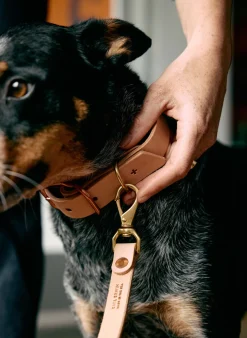 Women Imogene + Willie Accessories|Accessories*emil erwin x i+w dog leash