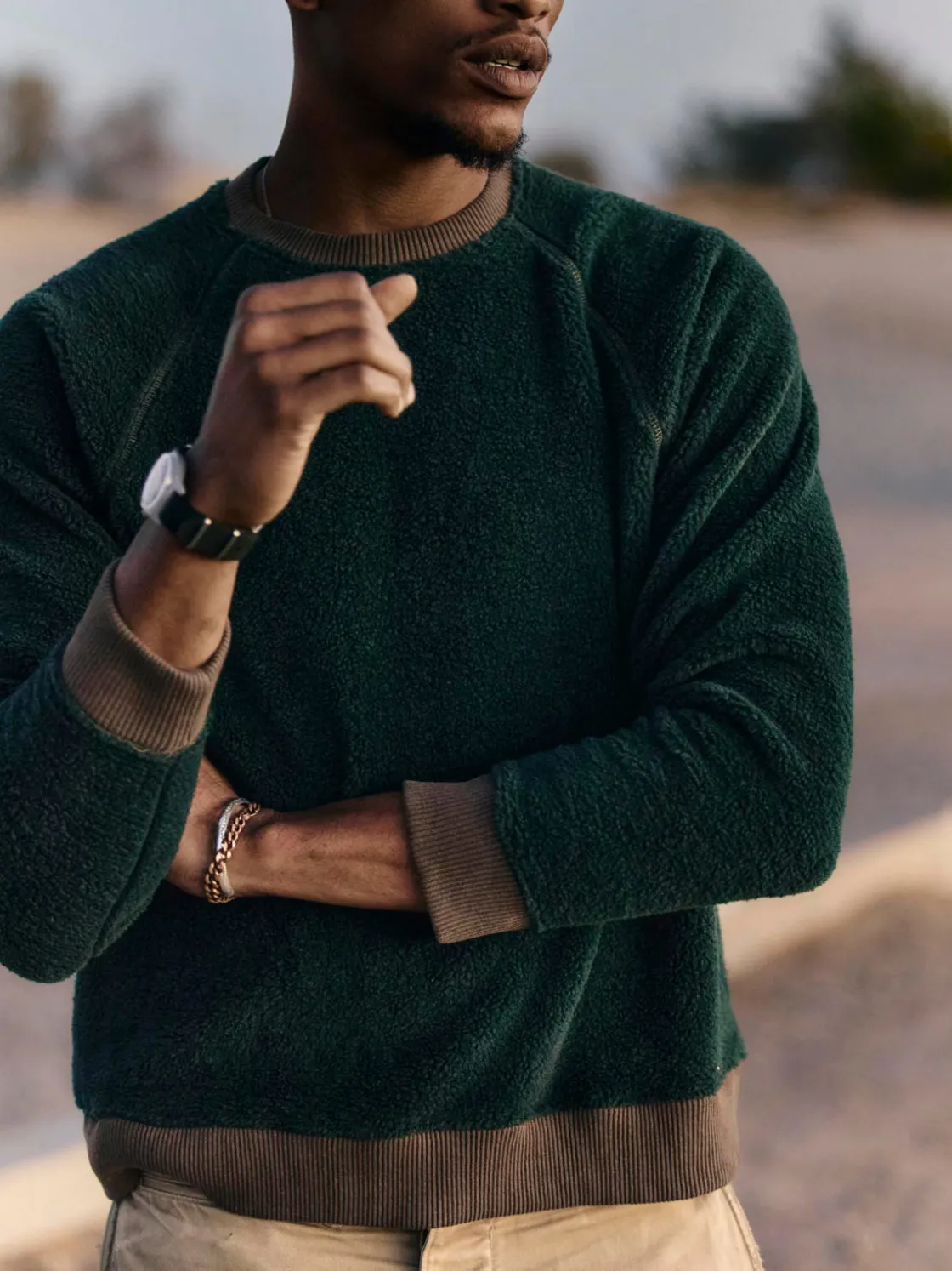 Imogene + Willie Knits & Sweaters*ribbed sherpa crew in fern