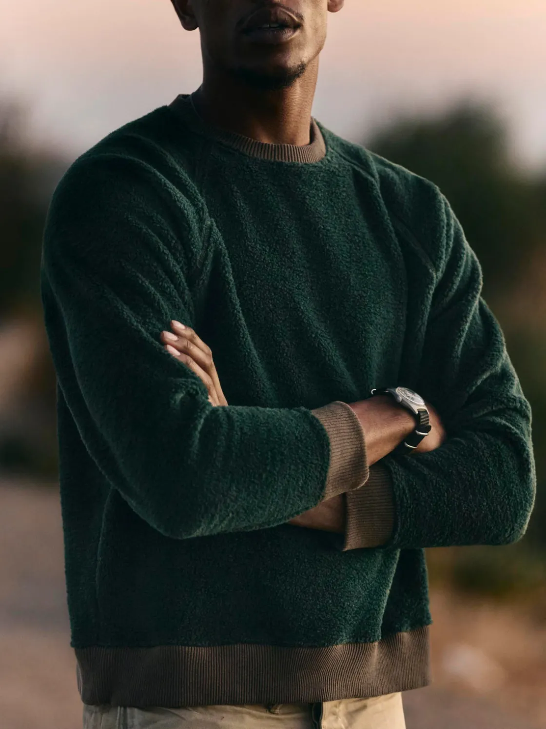 Imogene + Willie Knits & Sweaters*ribbed sherpa crew in fern