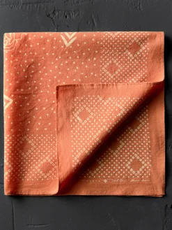 Imogene + Willie Bandanas*the 