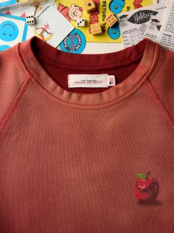 Imogene + Willie Knits & Sweaters*the "forbidden fruit" raglan crew