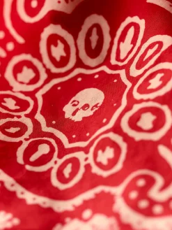Women Imogene + Willie Bandanas|Accessories*the 